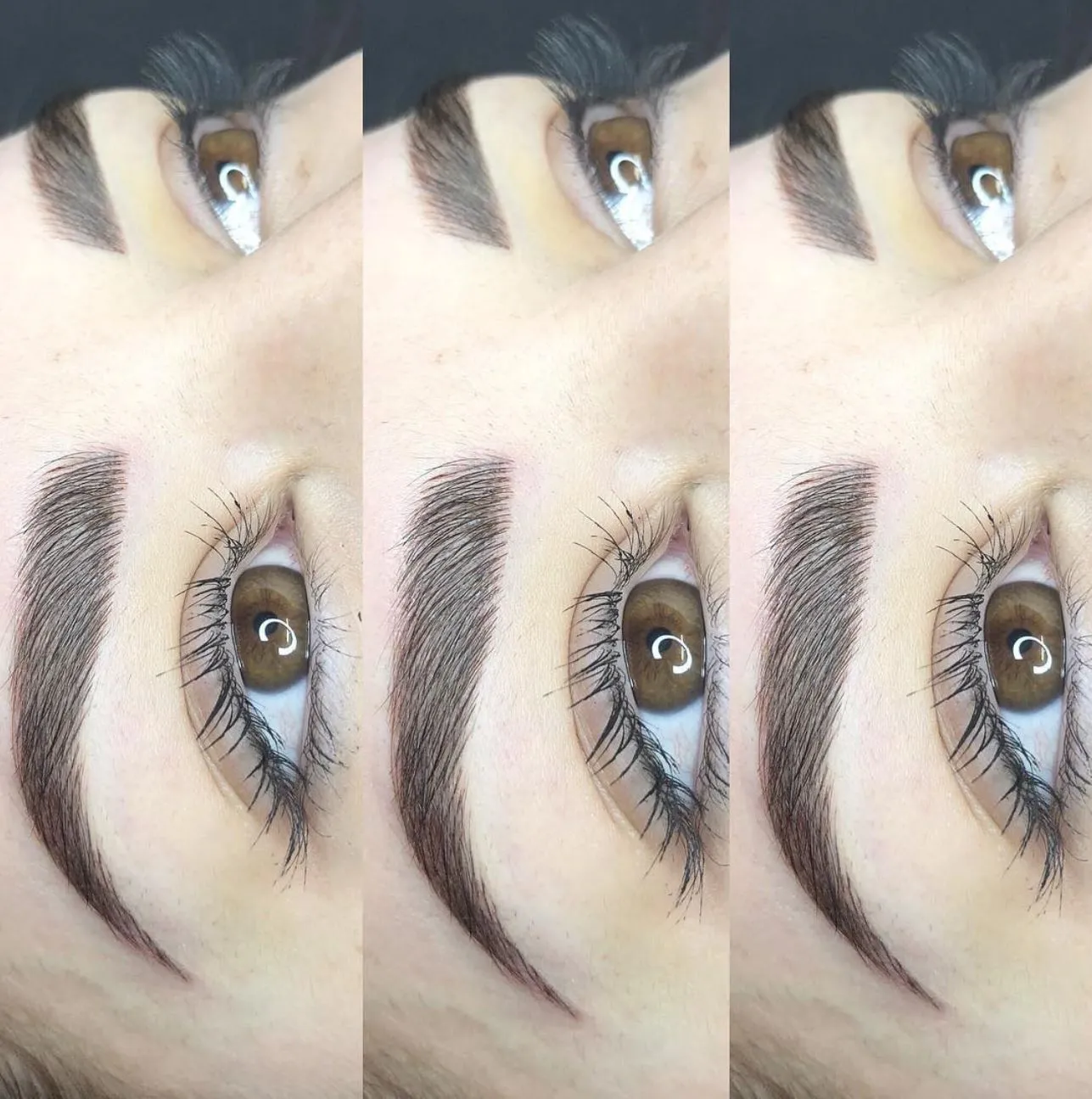 Prospect Place Dresden | What Techniques Do Advanced Brow Tattoo Courses Now Teach? Correction & Removal Skills