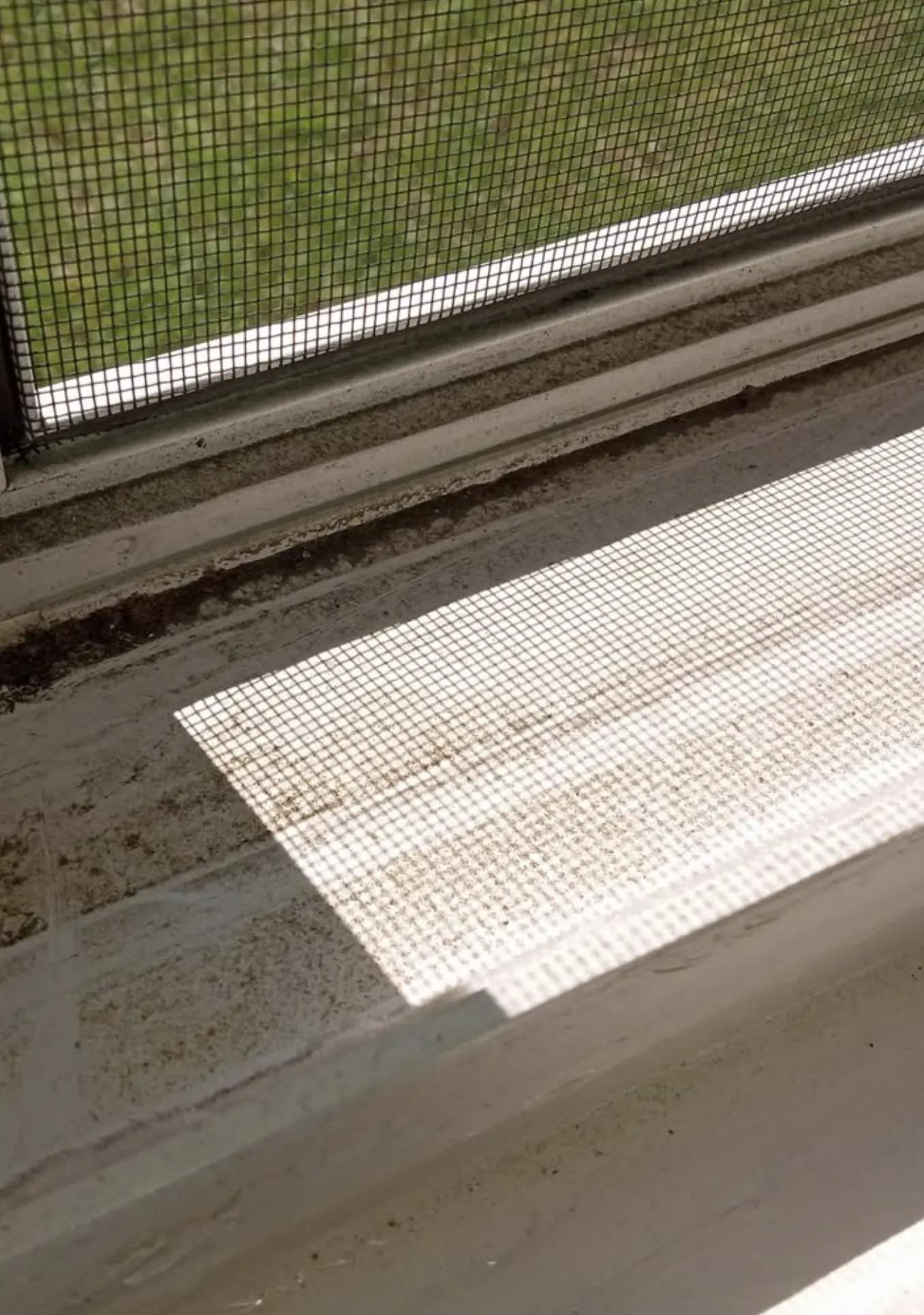 Eco-Friendly Window Cleaning