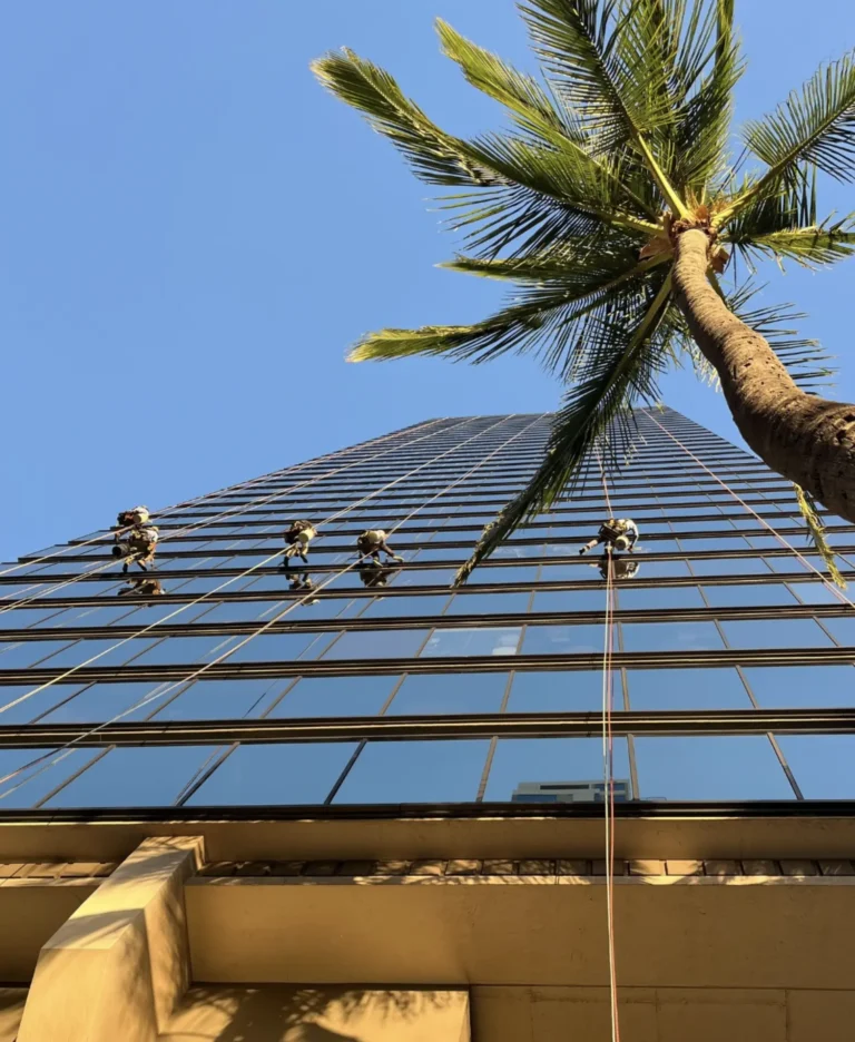 High Rise Window Cleaning Platforms
