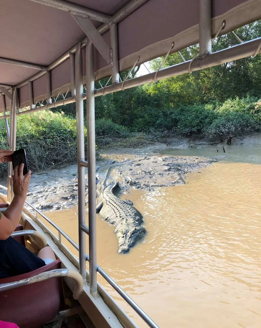 The Raw Beauty of the Adelaide River