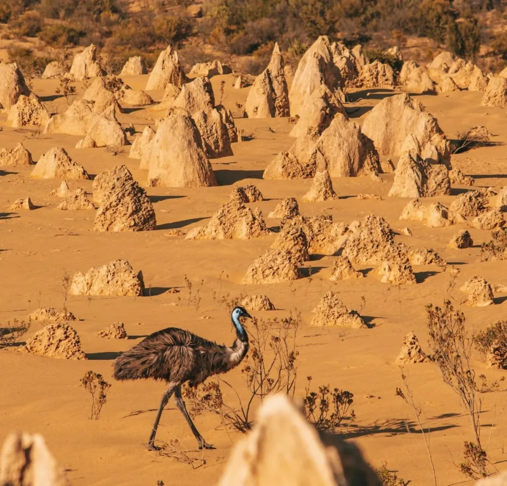 Unique Landscape and Wildlife Habitat