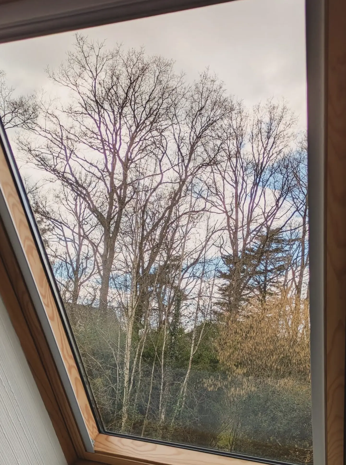 Window Cleaning Australia