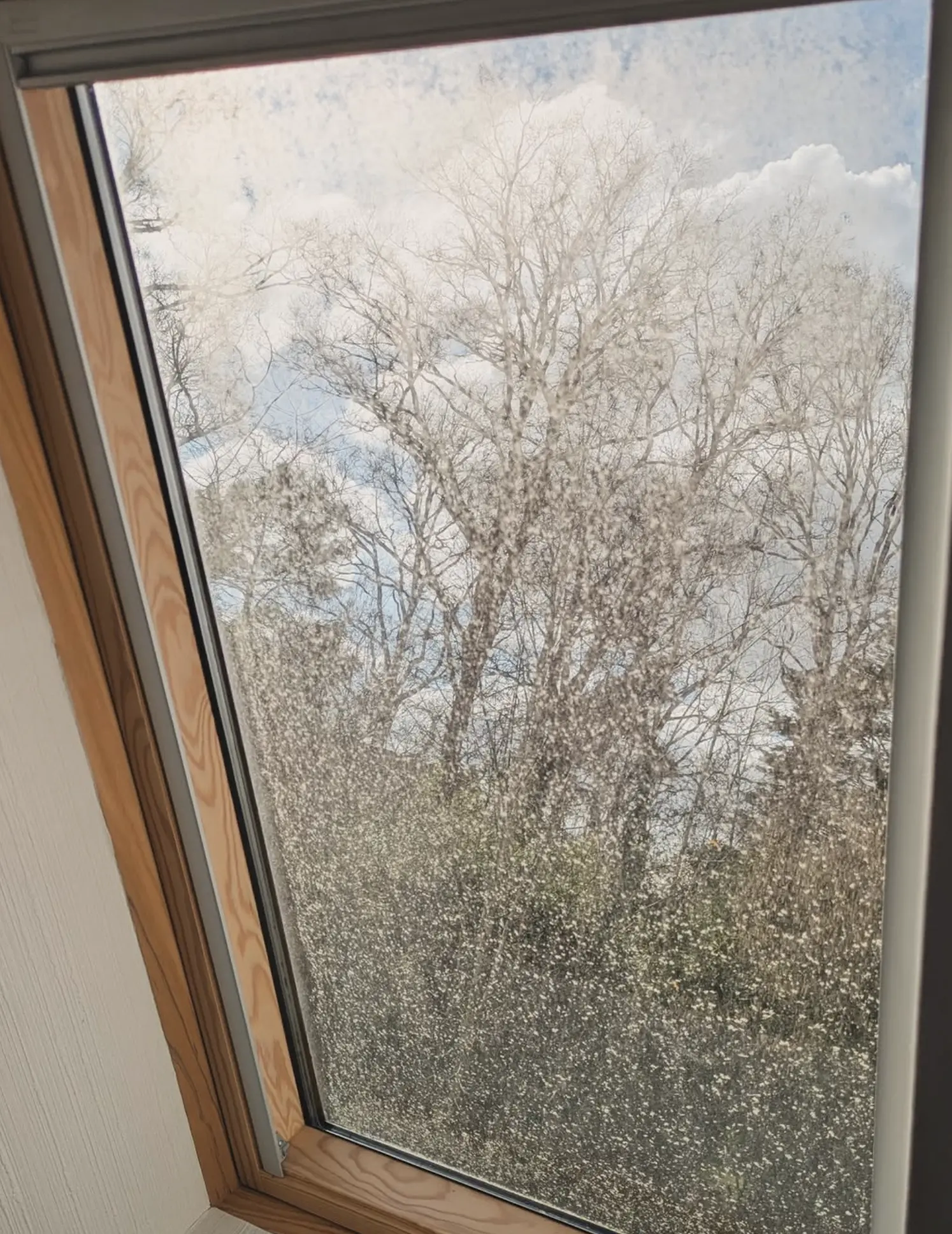 Window Cleaning Melbourne