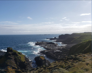 Prospect Place Dresden | Uncover the Wonders of Phillip Island: Your Guide to a Memorable Day Trip