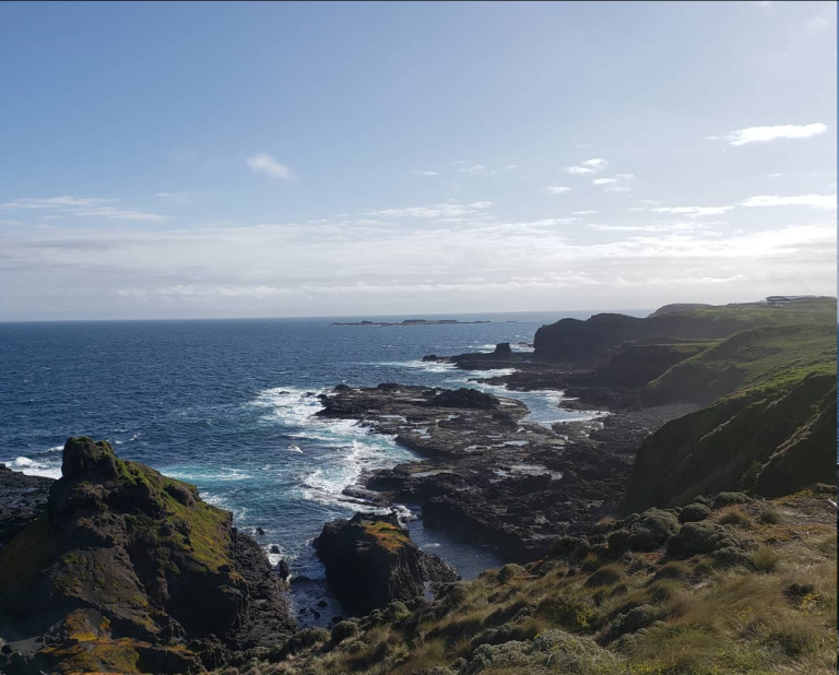 Prospect Place Dresden|Uncover the Wonders of Phillip Island: Your Guide to a Memorable Day Trip