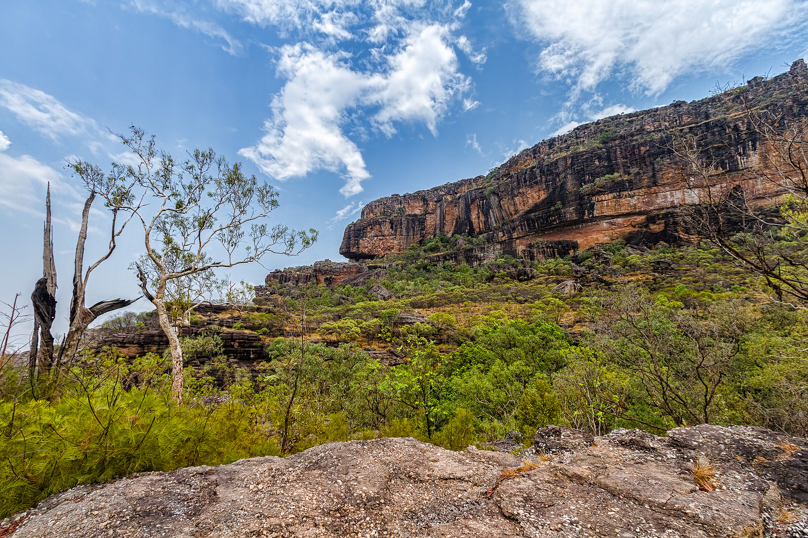 Explore the Beauty of Kakadu with a 4-Day Guided Tour