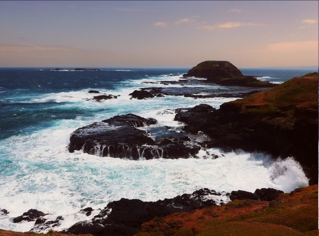 Discover the Hidden Treasures of Phillip Island with a Guided Day Excursion