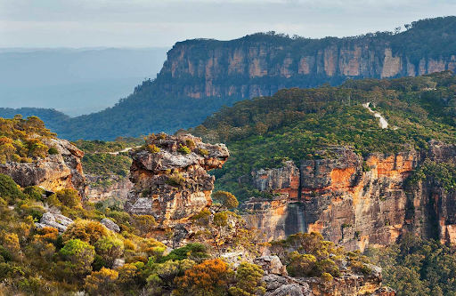 Experience the Beauty of the Blue Mountains with a Scenic Guided Expedition